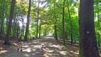Rando 02 - Bois de Dieleghem. -
